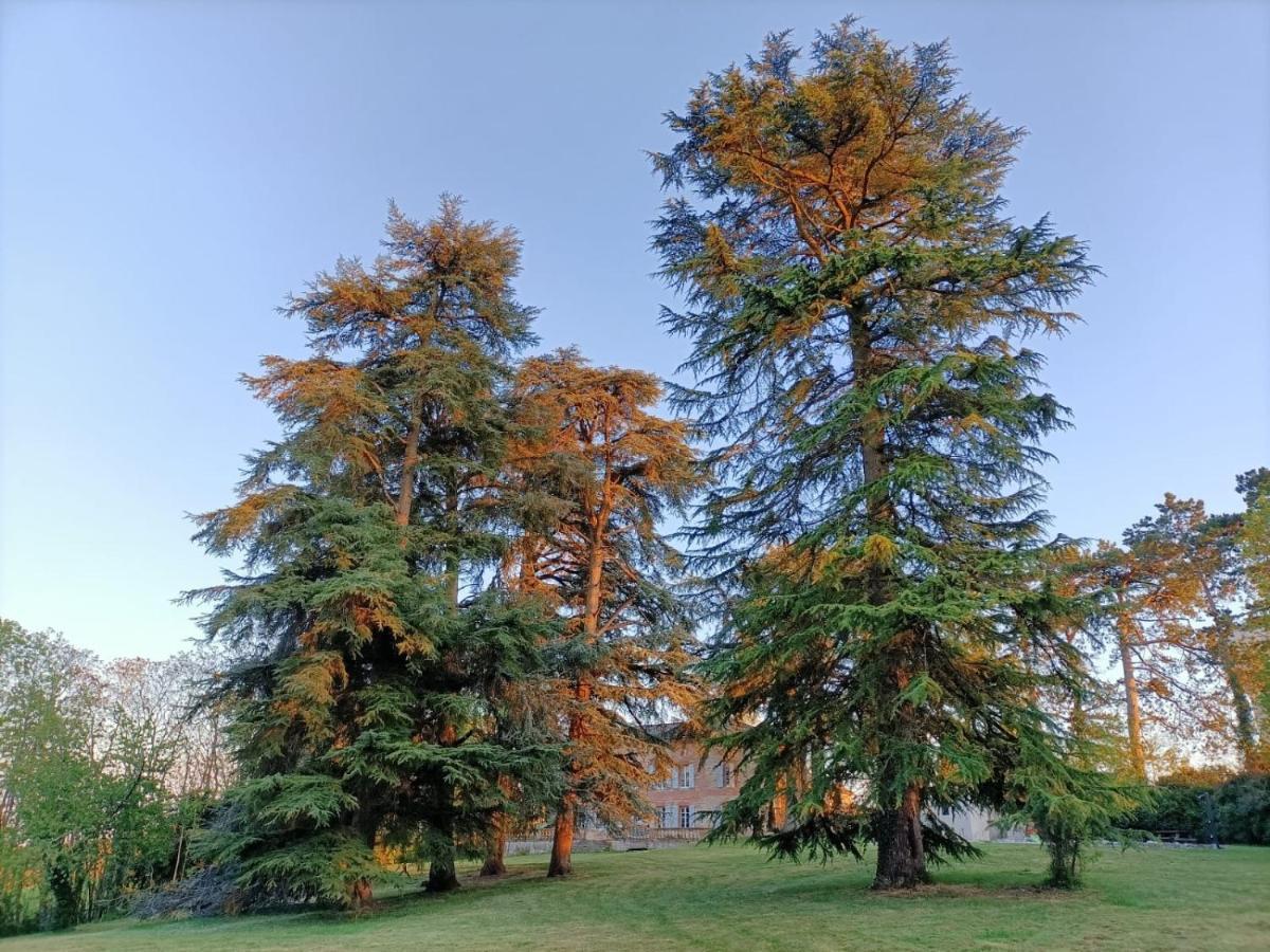 فندق Le Jardin Des Cedres لافاور المظهر الخارجي الصورة