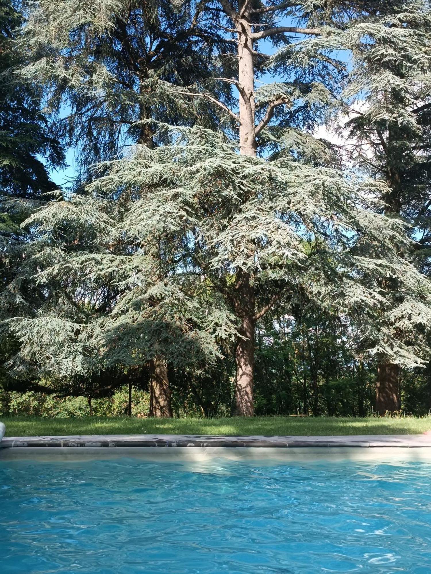 فندق Le Jardin Des Cedres لافاور المظهر الخارجي الصورة